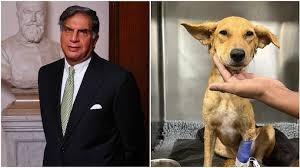 Ratan Tata appeals for blood donation for street dog